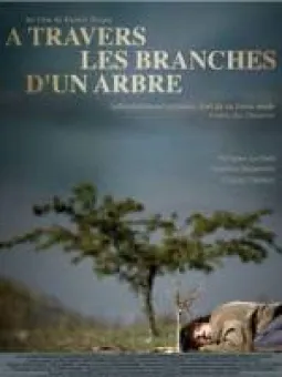 A travers les branches d'un arbre