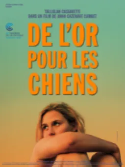 De l'or pour les chiens
