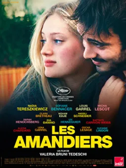 Les amandiers