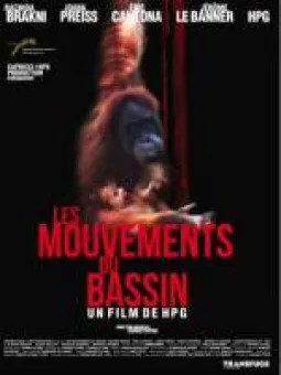 Les Mouvements du Bassin