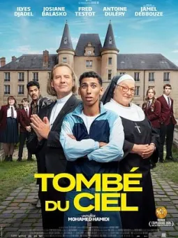 Affiche_Tombé du Ciel
